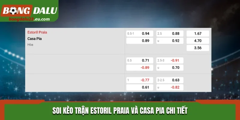 Soi kèo trận Estoril Praia và Casa Pia chi tiết qua bảng tỷ lệ kèo